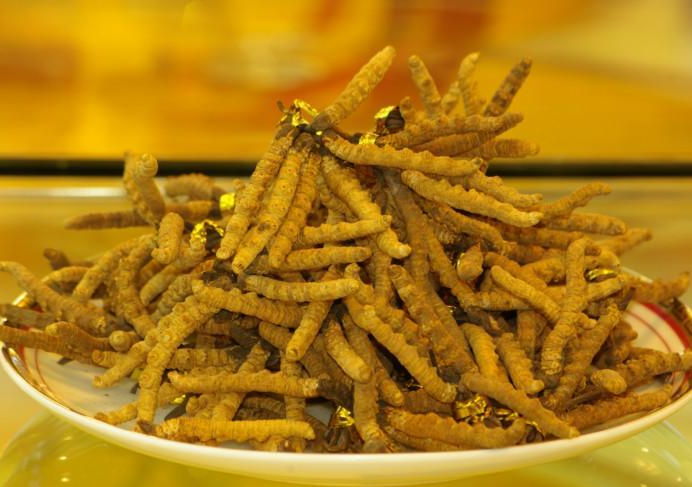 东城哪里礼品回收报价高