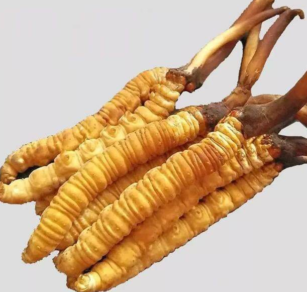 罗湖礼品回收实体店