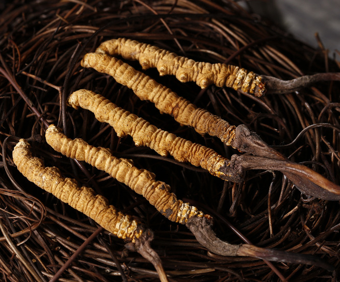 坦洲长期礼品回收高价