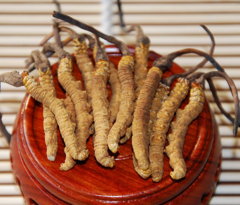 高埗虫草回收商家