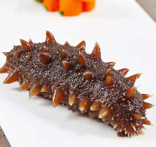 佛山海参回收网