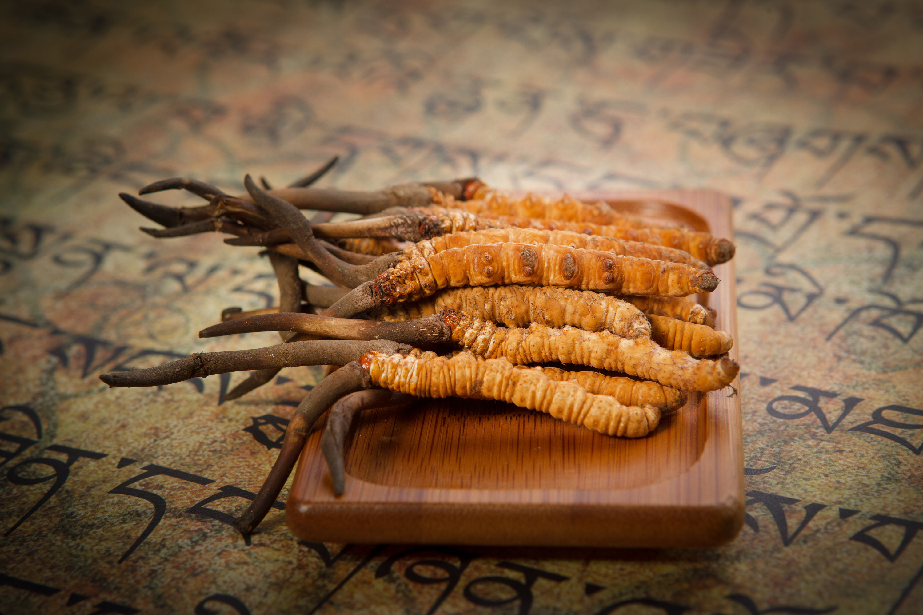 惠州虫草回收一千克多少钱