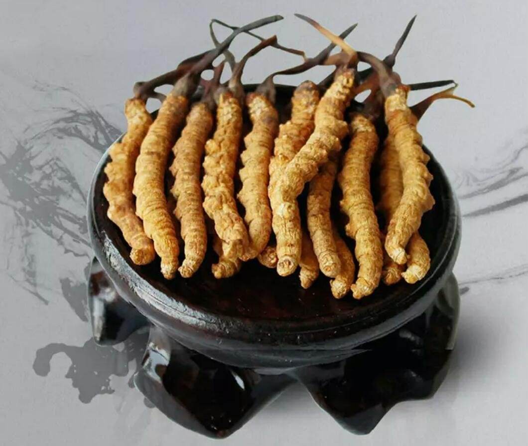 佛山专业虫草回收商家