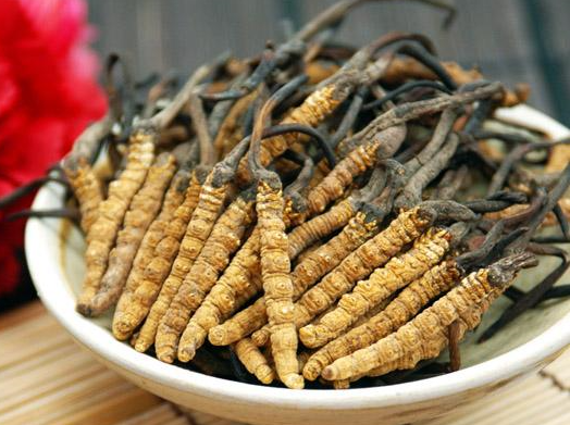 惠阳虫草回收高价