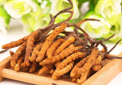 中山回收虫草每斤多少钱