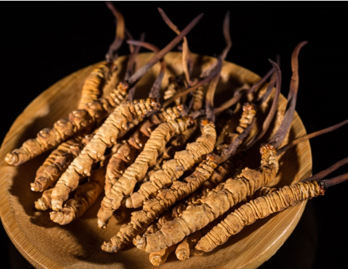 东城虫草回收商家地址在哪