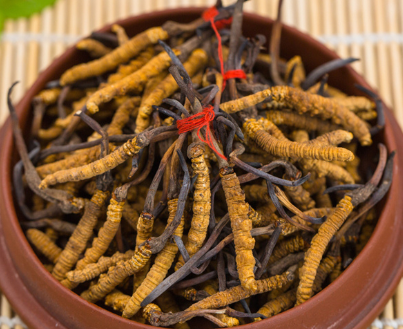 长安虫草回收一克价格是多少