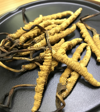 茶山上门虫草回收商家