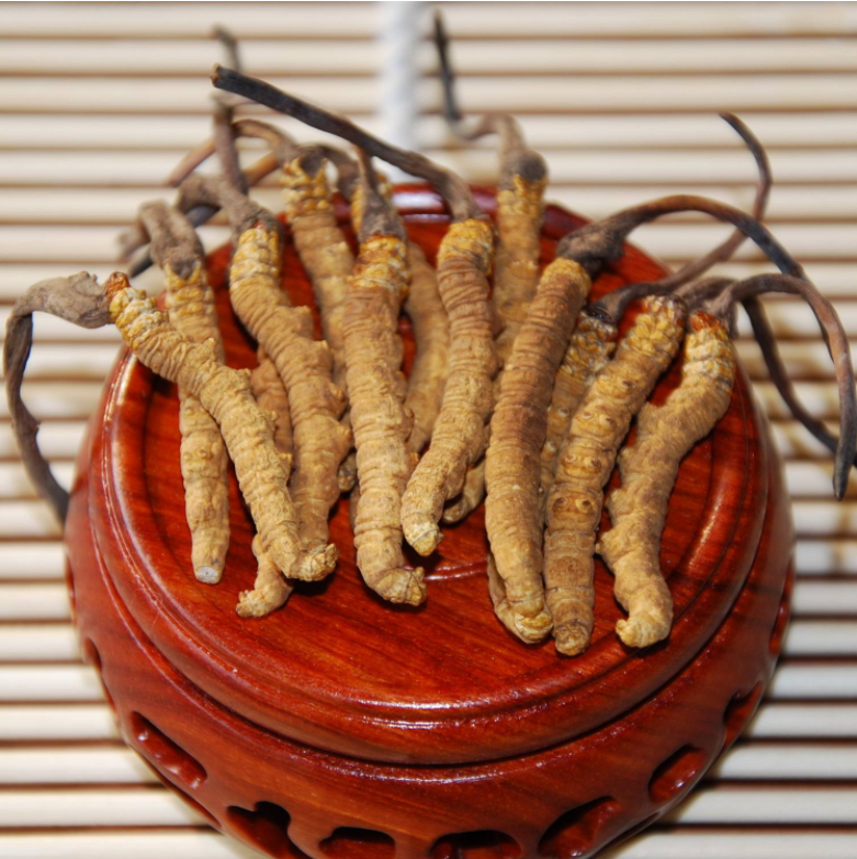 番禺虫草回收多少钱