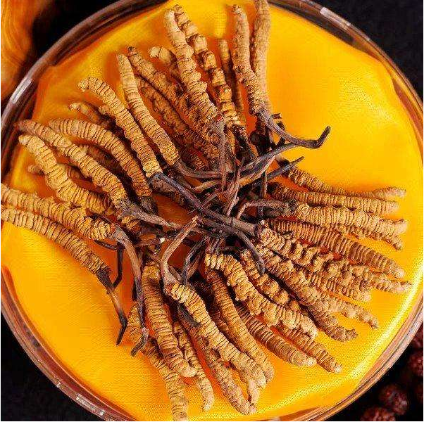 番禺虫草回收多少钱