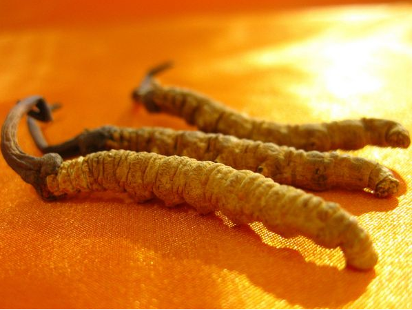 望牛墩哪里有礼品回收商家