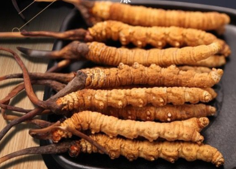 珠海现在虫草回收价格一克多少