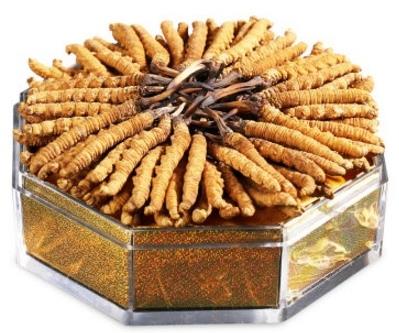 樟木头虫草回收行情多少