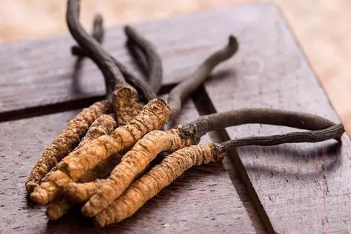 东莞虫草回收一千克多少钱