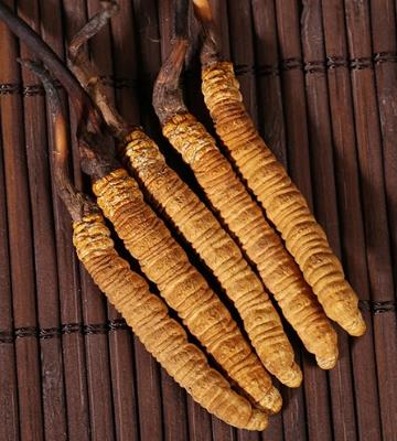 东莞上门虫草回收什么价格