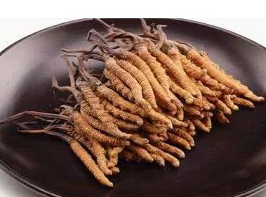 河源上门虫草回收商家