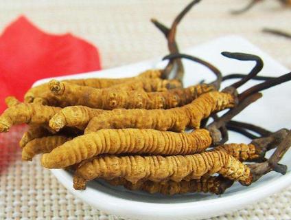 河源虫草回收价格与规格的关系