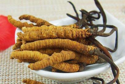 佛冈虫草回收多少钱一千克