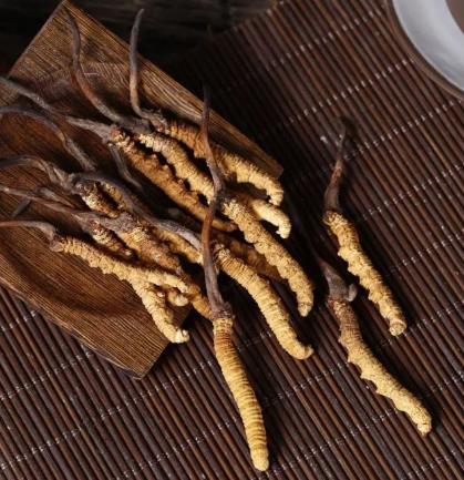 连南高价虫草回收商家