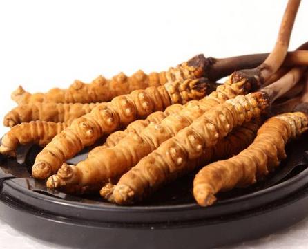 连州虫草回收市场行情