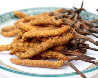 清远虫草回收价格行情