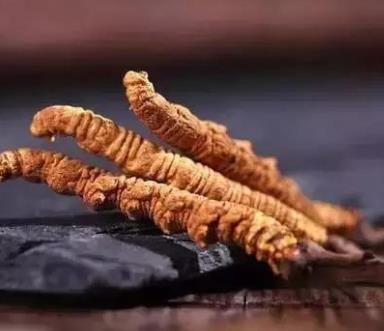 清远商家虫草回收报价如何