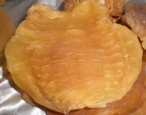 东城鱼胶回收价格