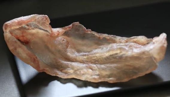 东城专业鱼胶回收商家在哪