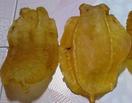 厚街专业鱼胶回收商家