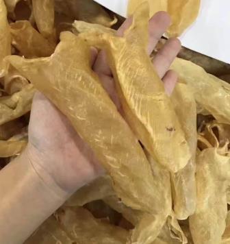 拱北商家高价鱼胶回收