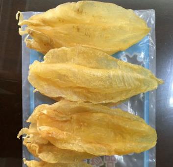 前山高价鱼胶回收价格