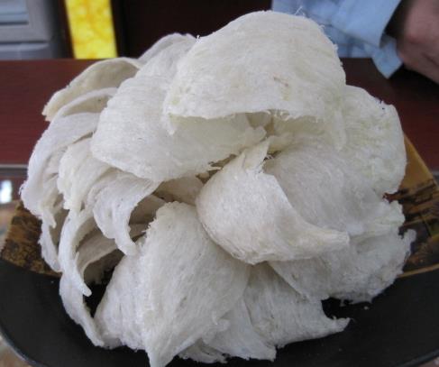 佛山长期燕窝回收商家报价