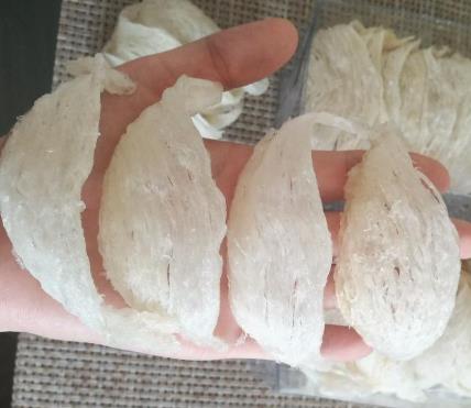 南沙燕窝回收商家报价