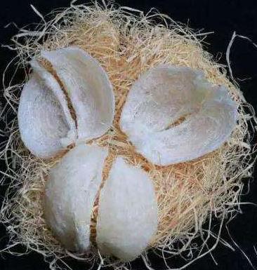 石歧燕窝回收商家报价