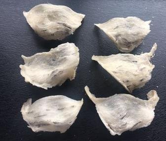 东区高价燕窝回收行情如何