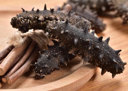 珠海高价海参回收什么价格