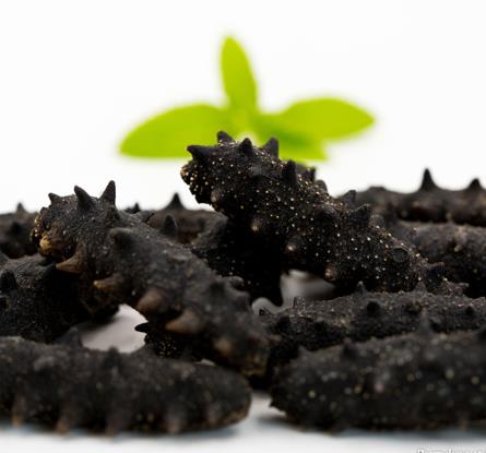 珠海商家高价海参回收