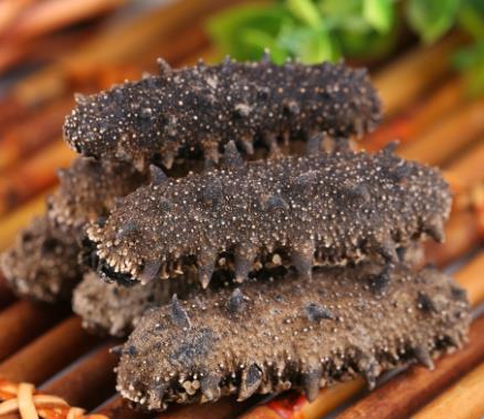 珠海长期海参回收商家