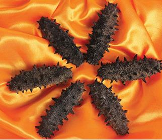 斗门商家上门海参回收