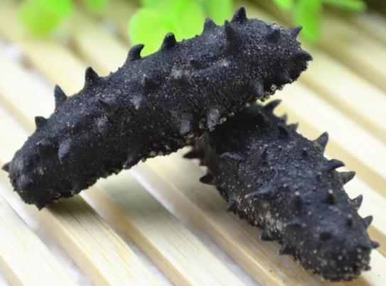 香洲海参回收价格多少钱