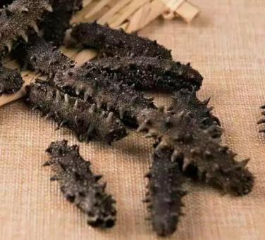 河源商家专业海参回收