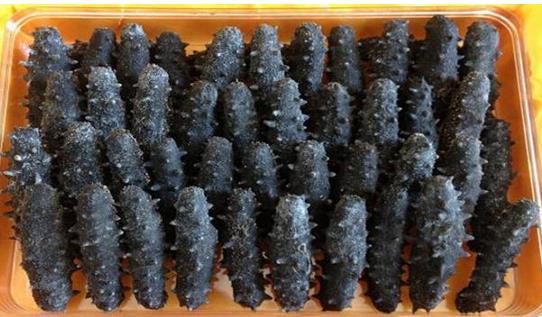 河源商家海参回收什么价格