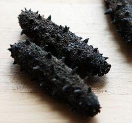 清远海参回收商家在哪