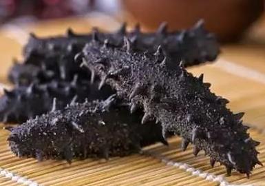 英德海参回收价格多少钱