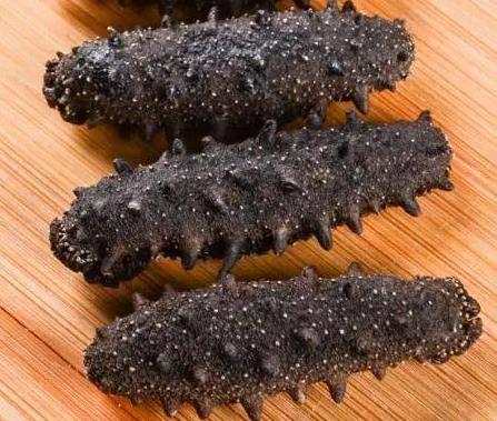 东凤专业海参回收商家报价