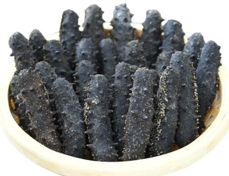 小榄长期海参回收价格多少钱