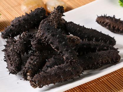 中国专业海参回收商家报价