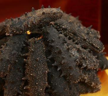 横栏专业海参回收商家报价