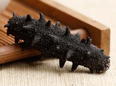 南朗海参回收商家在哪