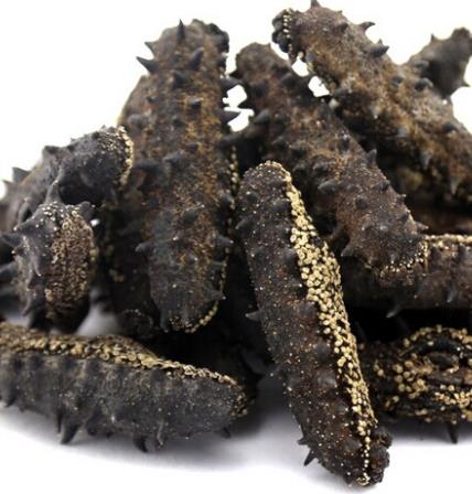 港口长期海参回收价格